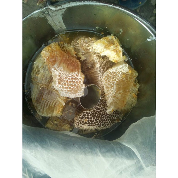 Plum Flower Honey (বরই ফুলের মধু)