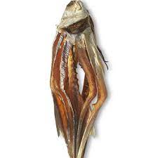 Dried Sea Koral - High quality and fresh for Export