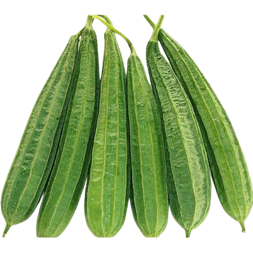 Ridge gourd (ঝিঙ্গে)- Fresh,Organic & Chemical Free for Export