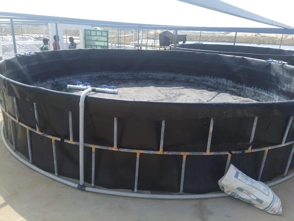 Pond Liner