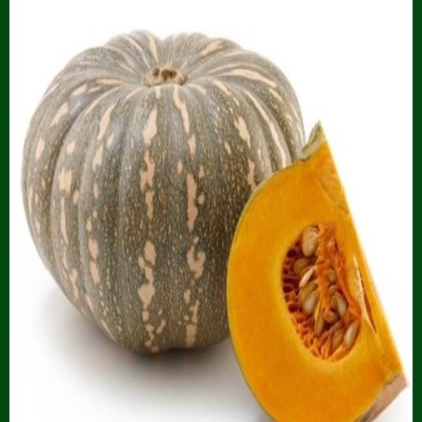 Pumpkin Wholesale From Bangladesh (মিষ্টি কুমড়া)