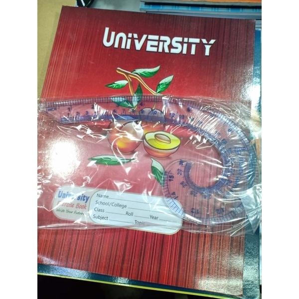 Good Quality French Curve Scale