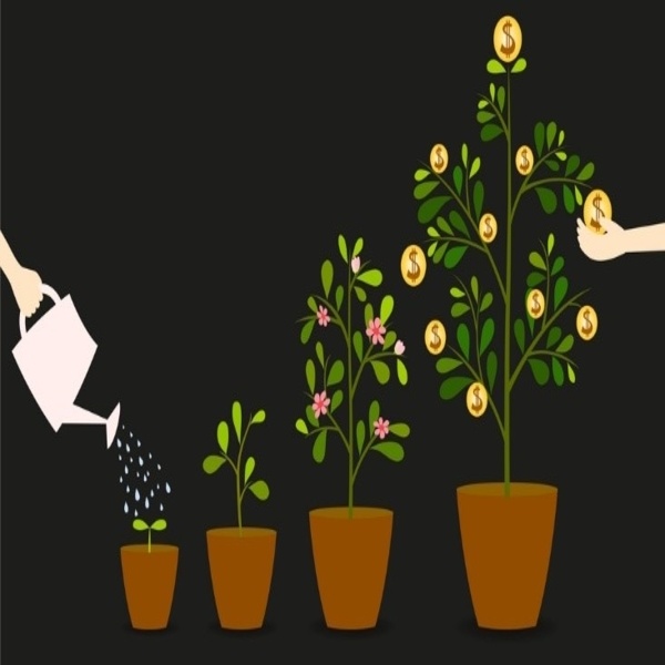 Provident Fund (PF) Accounting Service