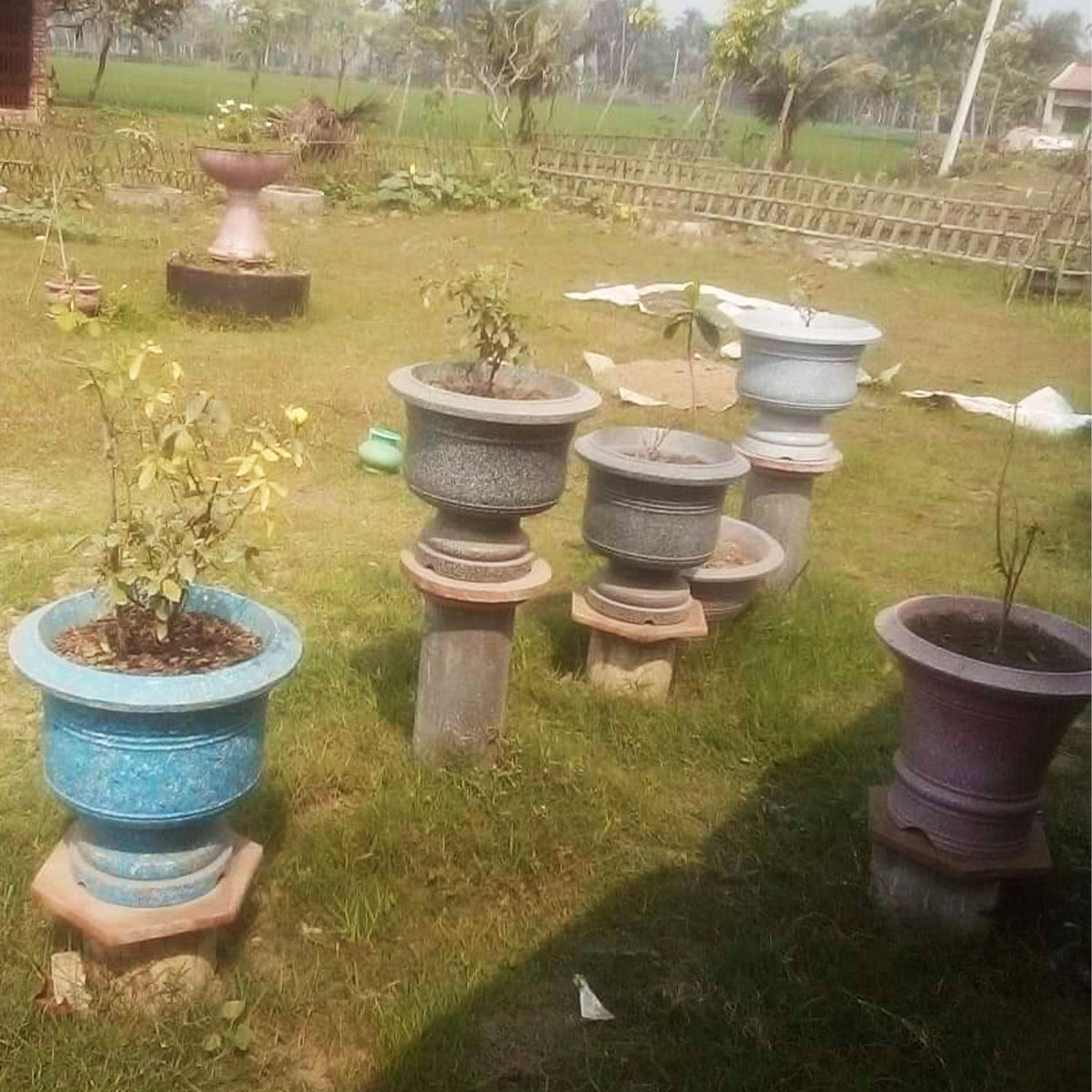 ২ পার্ট বনসাই টব