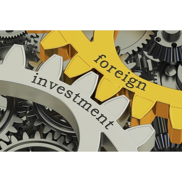 Foreign Direct Investment (FDI) Processing Service
