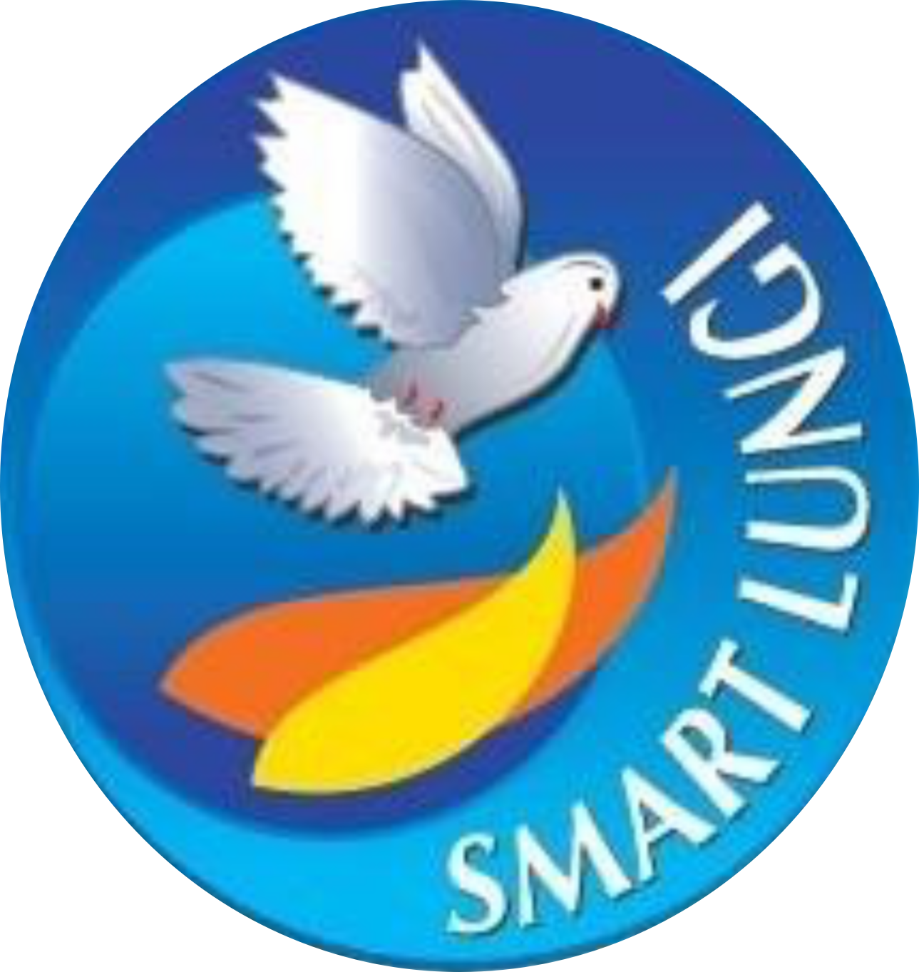Smart Lungi