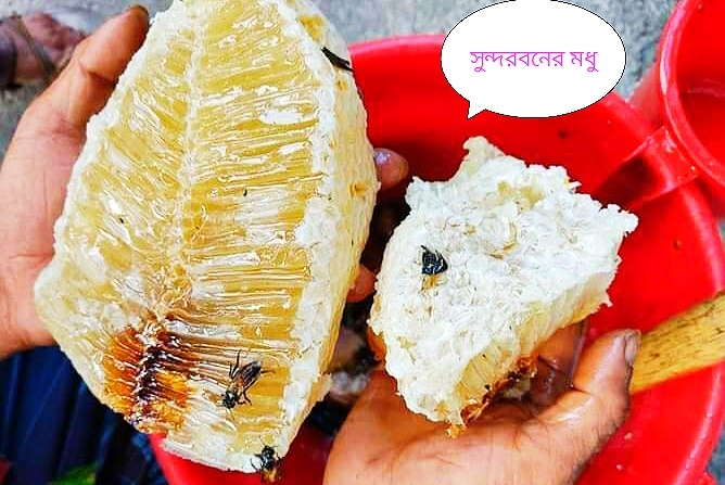 Modhur Bari