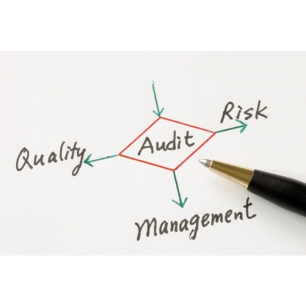 Project Audit Service