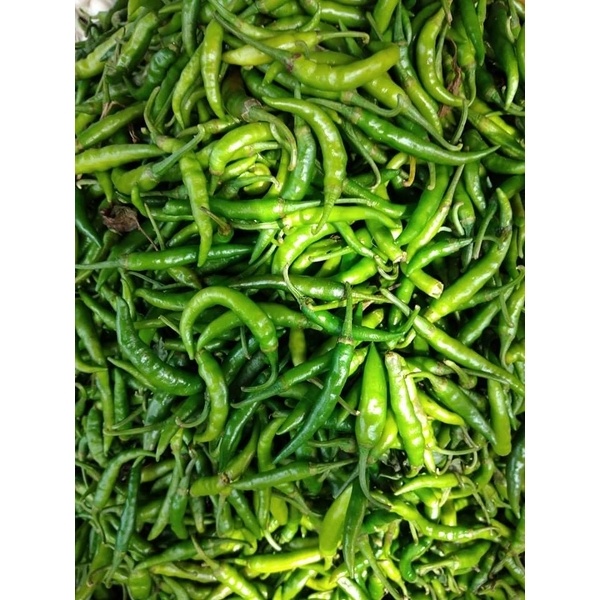 Fresh and chemical free local chili(কাচা মরিচ)