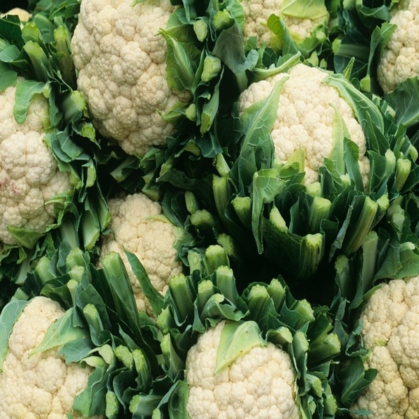 Market Fresh Cauliflower(বাজারের টাটকা ফুলকপি)
