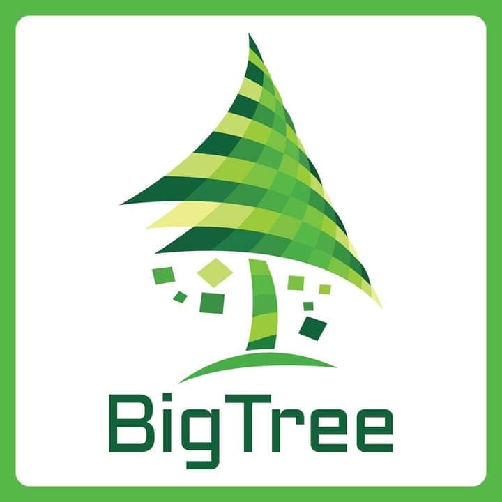 Big Tree