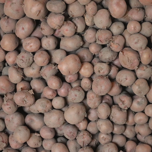 Kufri Potato (Pakri) (84 kg) Sack