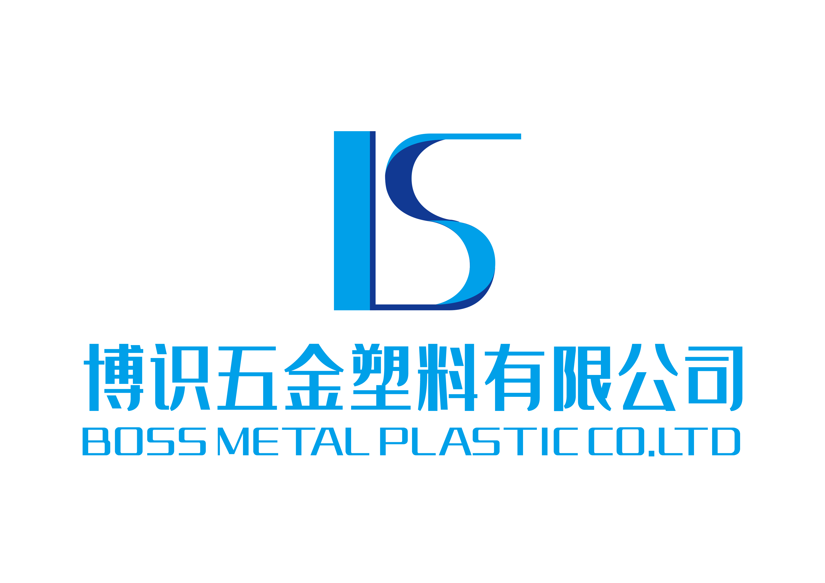 BOSS METAL