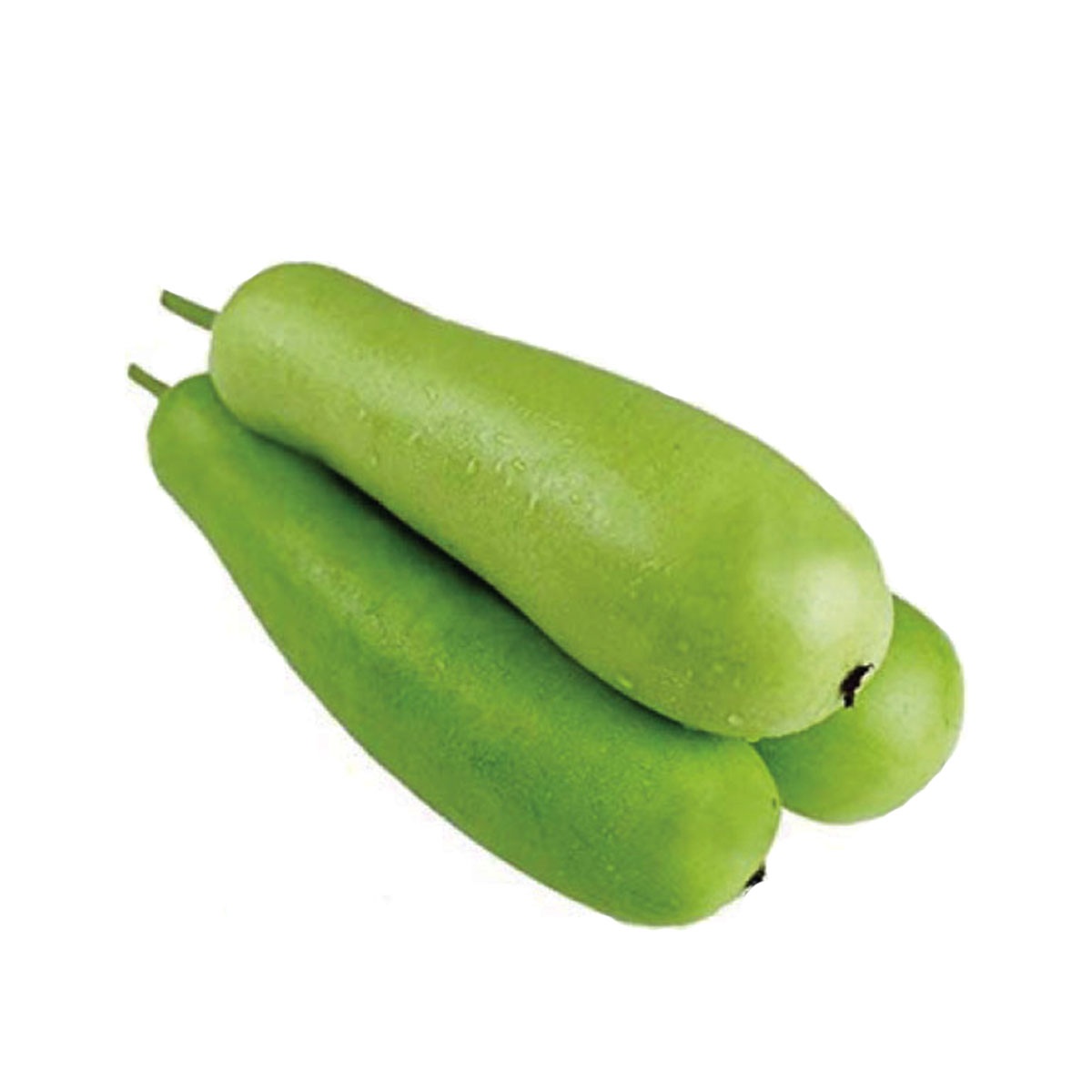 Bottle Gourd(লাউ)- Fresh,Organic & Chemical Free for Export