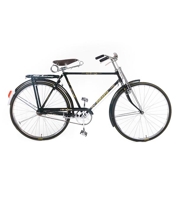 Duranta Steel 1-Spd Royal 1-Bar 28 Deep Green Bicycle