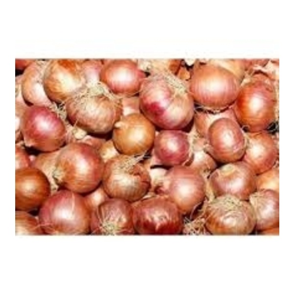 Fresh Onion (পিয়াজ) (Per sack 65kg)