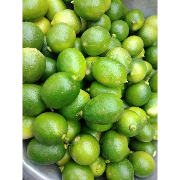 Fresh seedless and organic lemon(লেবু)