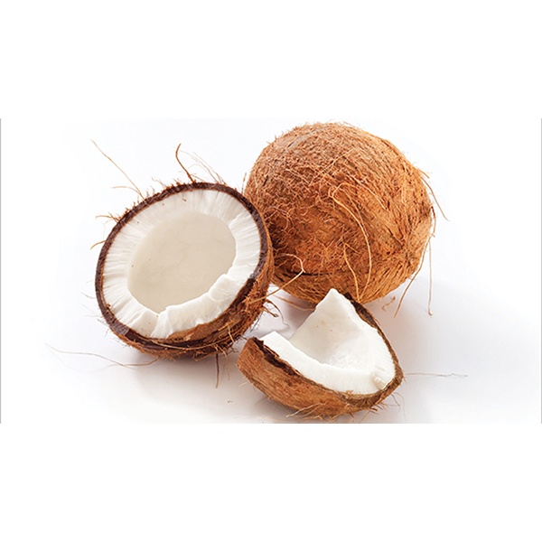 Shatkhira Fresh Per Piece Coconut (নারিকেল)