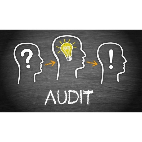 Internal Audit/ Operational Audit Service