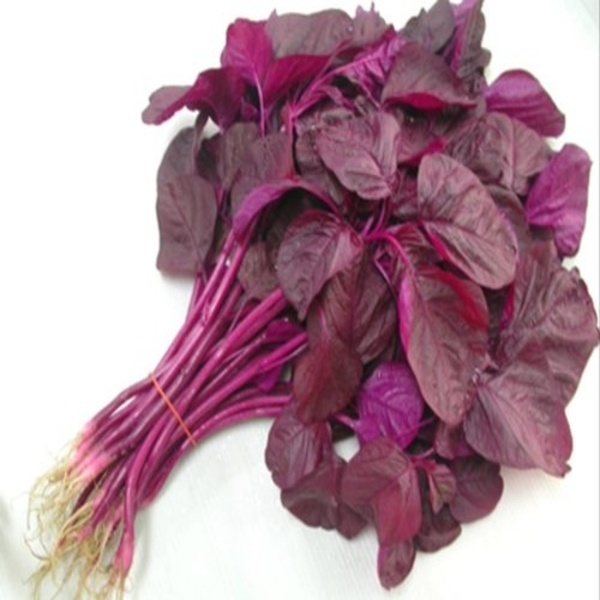Organic Red Spinach (লাল শাক)