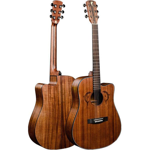 Fender Acoustic Guitar (Spanish)