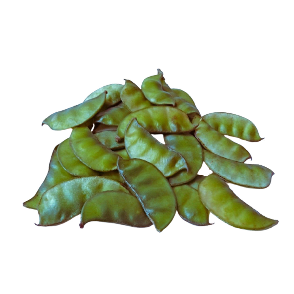 Country Bean/Sheem (শিম) - Fresh,Organic & Chemical Free for Export