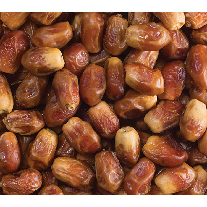 Zahedi Dates ( Khejur) for wholesale Price