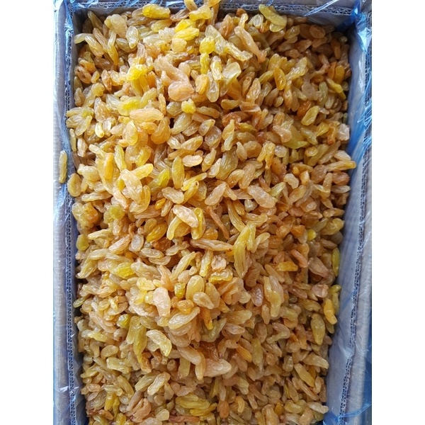 Wholesale fresh RAISINS (KISMIS)